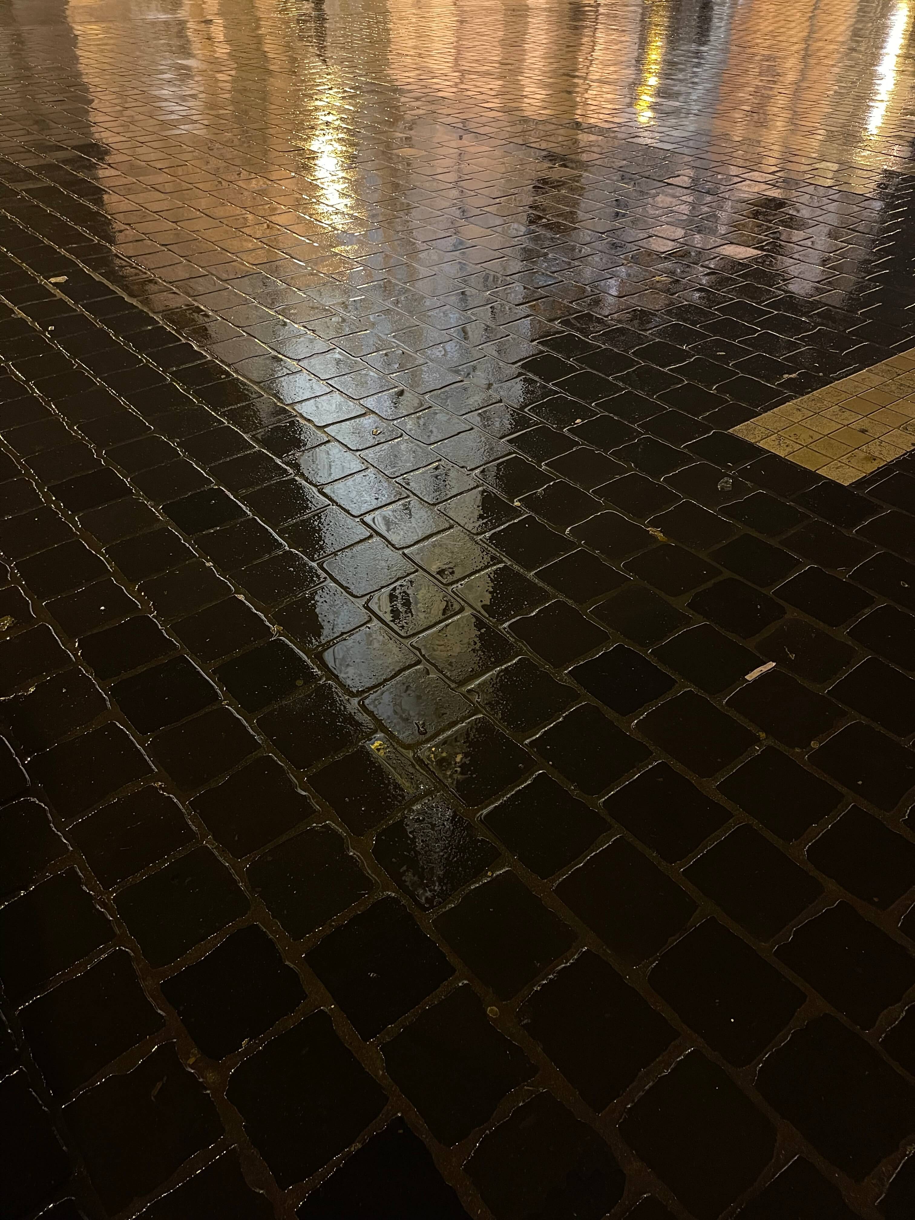 Rainy night in Budapest