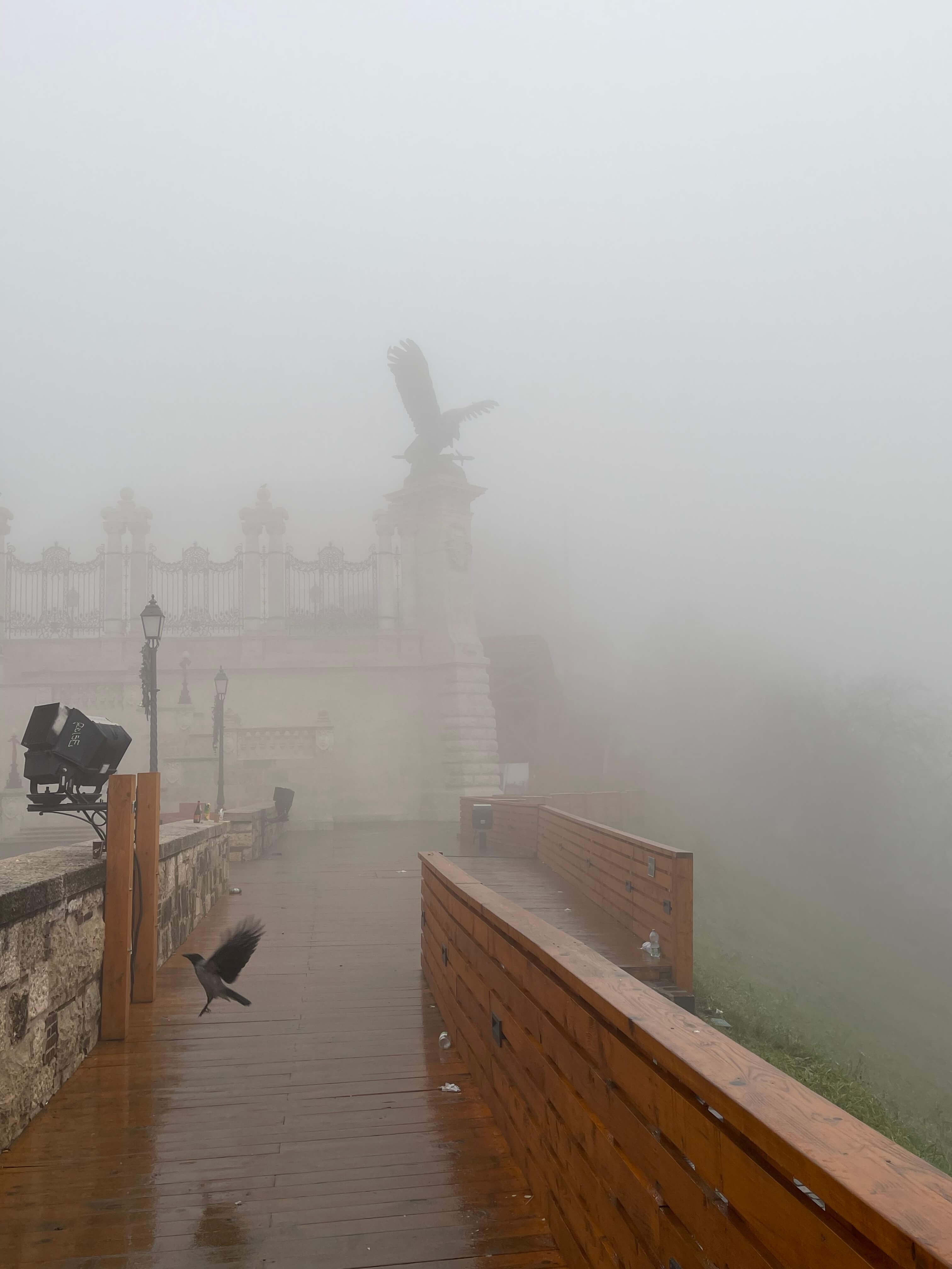 Budapest’s giant bird statue looming in the background in the mist